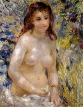 Billede på lærred Study. Torso, effect of sunlight, c.1875-76