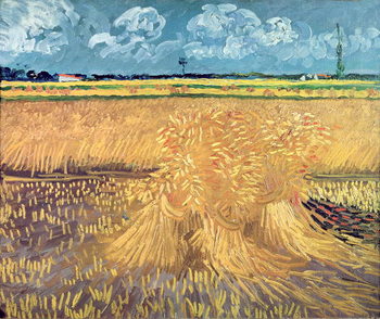 Billede på lærred Wheatfield with Sheaves, 1888