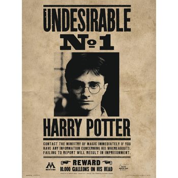Reproducción de arte  Harry Potter - Undesirable No1