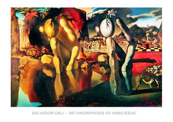 Reproducción de arte Salvador Dali - Metamorphosis Of Narcissus