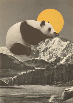 Leinwand Poster Panda's Nap into Mountains