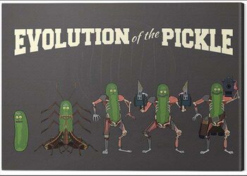 Leinwand Poster Rick and Morty - Evolution of the Pickle