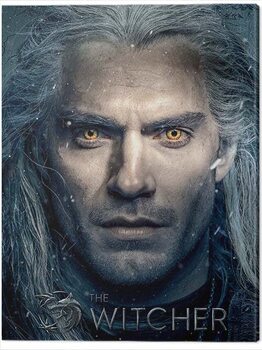 Leinwand Poster The Witcher - Stare