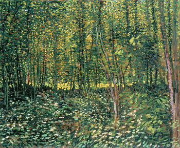 Leinwand Poster Trees and Undergrowth, 1887
