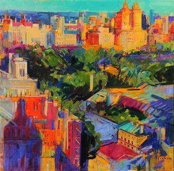 Bild auf Leinwand Above Central Park