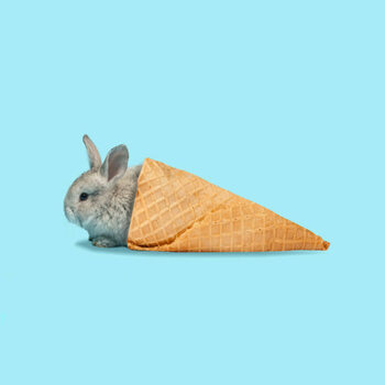 Bild auf Leinwand Adorable Easter bunny isolated on blue