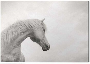 Bild auf Leinwand Carys Jones - The Curve II