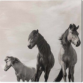 Bild auf Leinwand Carys Jones - The Three Amigos