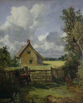 Bild auf Leinwand Cottage in a Cornfield