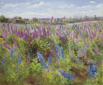 Bild auf Leinwand Delphiniums and Poppies, 1991