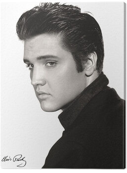 Bild auf Leinwand Elvis - Portrait