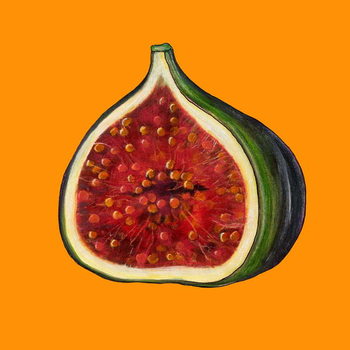 Bild auf Leinwand Fig on orange