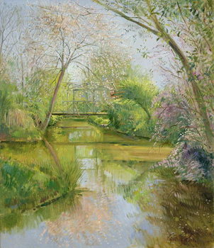 Bild auf Leinwand Full Blossom
