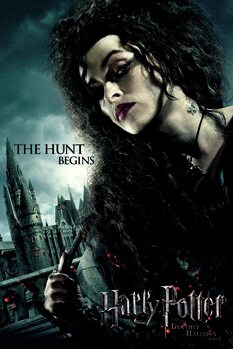 Bild auf Leinwand Harry Potter - Bellatrix