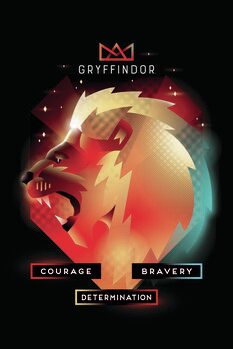 Bild auf Leinwand Harry Potter - Gryffindor