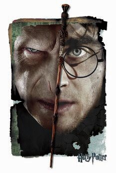 Bild auf Leinwand Harry Potter vs Voldemort
