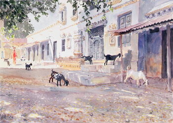 Bild auf Leinwand Indian Goats
