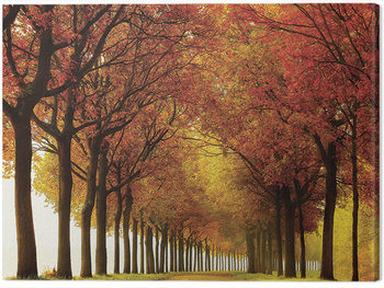 Bild auf Leinwand Lars Van De Goor - So Full