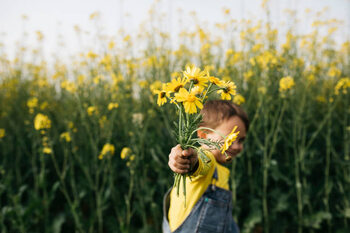 Bild auf Leinwand Little boy's hand holding picked yellow