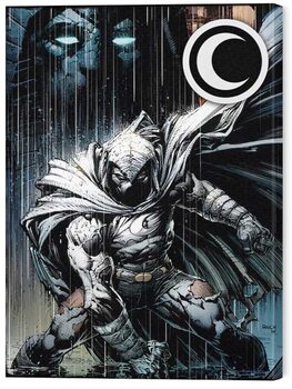 Bild auf Leinwand Moon Knight - The Moon God