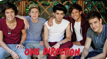 Bild auf Leinwand One Direction - garden