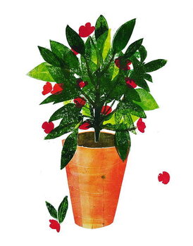 Bild auf Leinwand Orange pot 2020