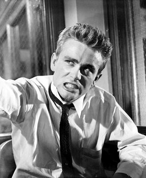 Bild auf Leinwand Rebel Without A Cause directed by Nicholas Ray, 1955