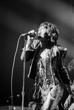 Bild auf Leinwand Rolling Stones, 1973