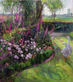 Bild auf Leinwand Rose Bed and Geese, 1992