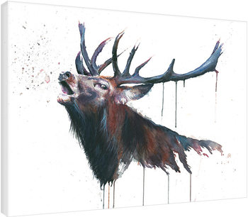 Bild auf Leinwand Sarah Stokes - Roar