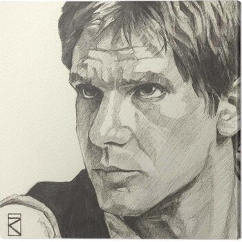 Bild auf Leinwand Star Wars - Han Solo