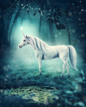 Bild auf Leinwand Unicorn