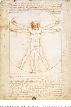 Zarámovaný plagát Leonardo da Vinci - vitruvian man