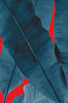 Lerretsbilde Tropical 3