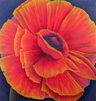 Bilde på lerret Big Poppy, 2003