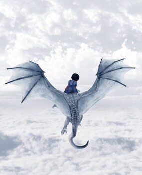 Bilde på lerret Boy riding the dragon