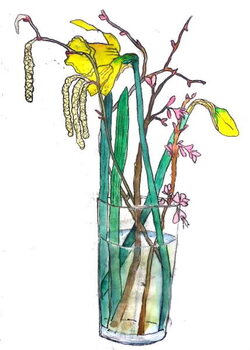 Bilde på lerret Daffodils