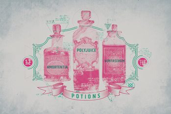 Bilde på lerret Harry Potter - Potions