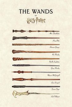 Bilde på lerret Harry Potter™ - The Wands