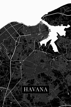 Bilde på lerret Havana black