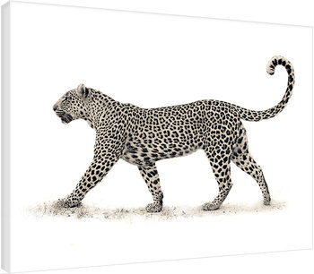 Mario Moreno - The Leopard Lerretsbilde