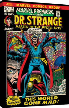 Bilde på lerret Marvel Comics - Dr Strange - World Gone Mad