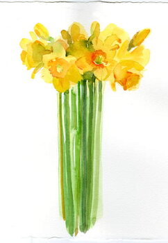 Bilde på lerret Narcissus bunch; 2014;