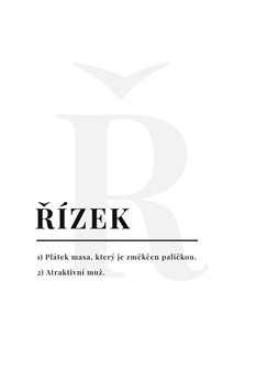 Bilde på lerret Řízek