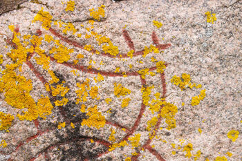 Bilde på lerret Runic letters on a stone