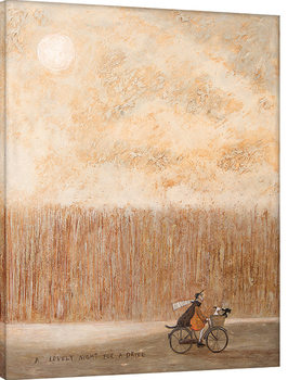 Sam Toft - A Lovely Night for a Drive Lerretsbilde