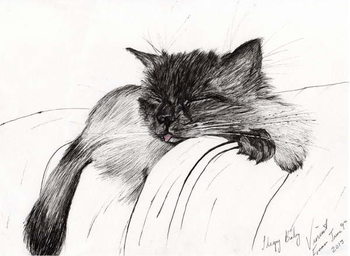 Bilde på lerret Sleepy Baby, 2013,