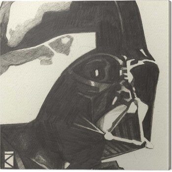 Bilde på lerret Star Wars - Darth Vader