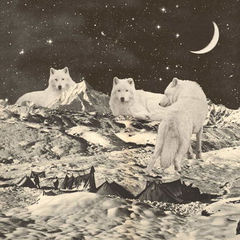 Bilde på lerret Three Giant White Wolves on Mountains