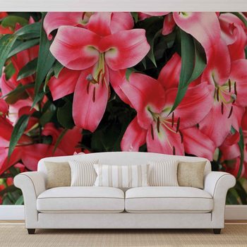 Ταπετσαρία τοιχογραφία  Lilys